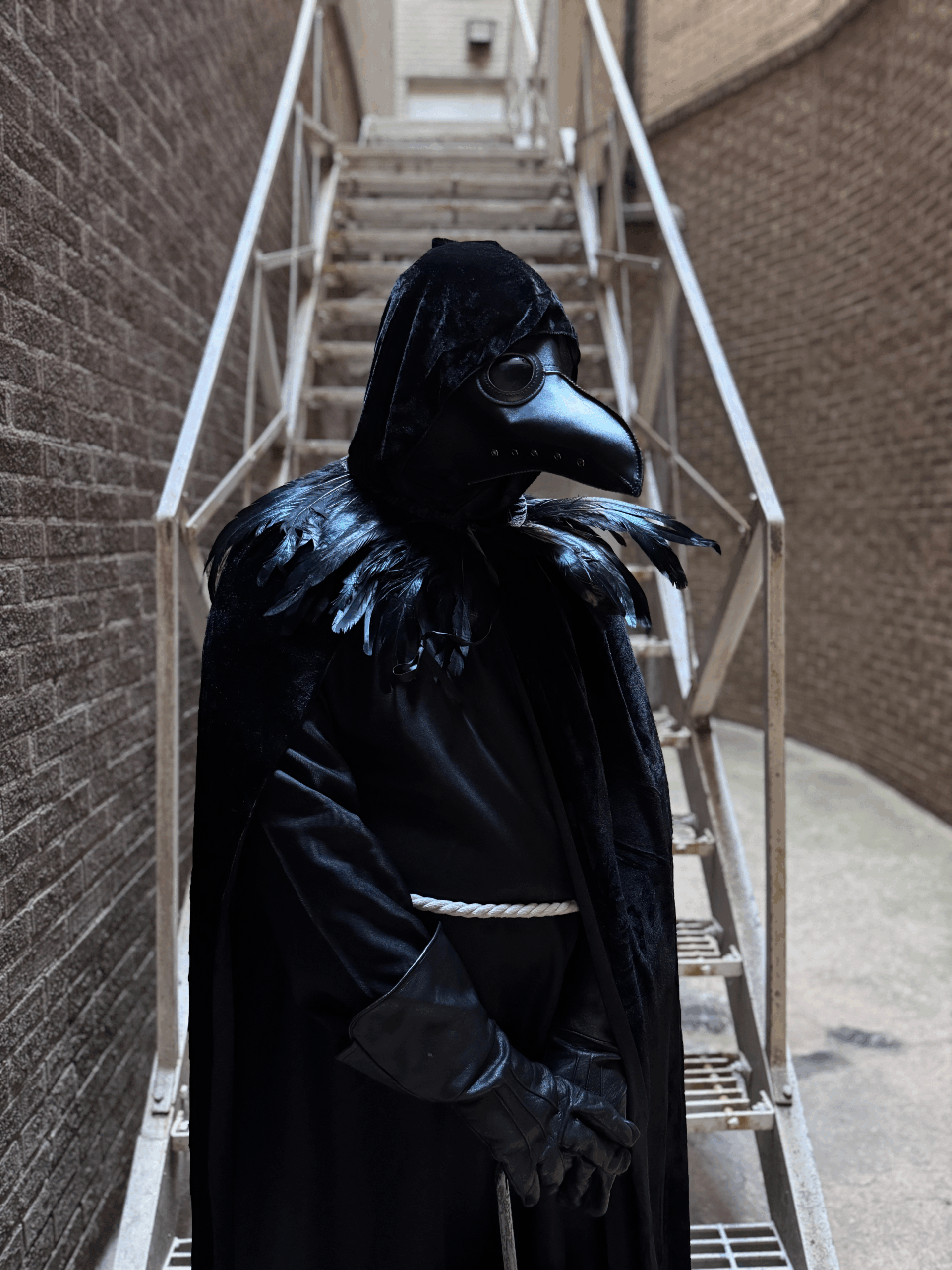 Shuddersome: Tales of Poe (2024)